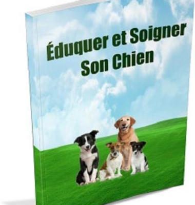 Comment Éduquer son Chien